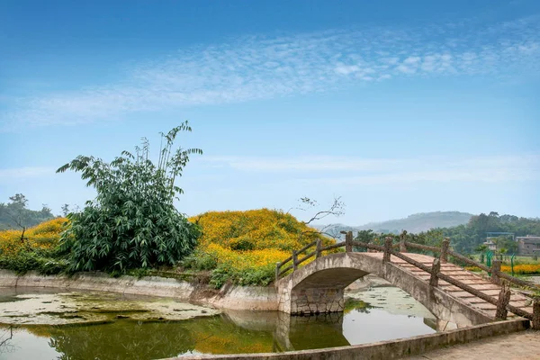 Chongqing Bananhua flores de jardín del mundo de madera en plena floración —  Fotos de Stock