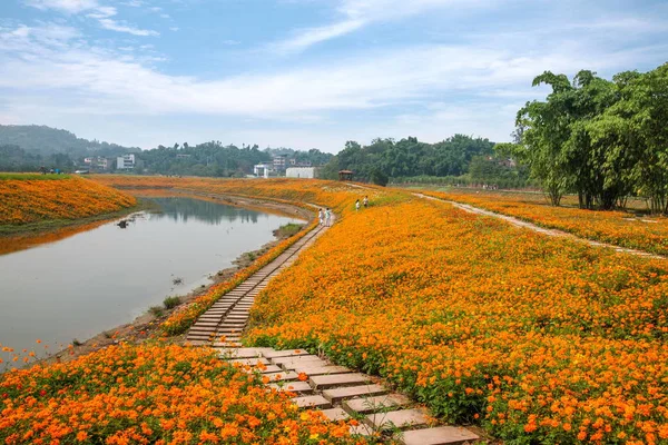 Chongqing Bananhua ξύλο κόσμος Κήπος λουλούδια σε πλήρη άνθιση — Φωτογραφία Αρχείου