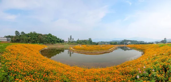 Chongqing Bananhua ξύλο κόσμος Κήπος λουλούδια σε πλήρη άνθιση — Φωτογραφία Αρχείου
