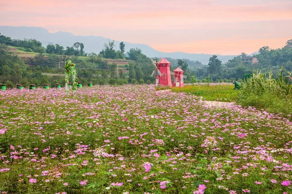 Chongqing Banano flores y árboles en el jardín del mundo lleno de flores de ginseng de montaña en el molino de viento — Foto de Stock
