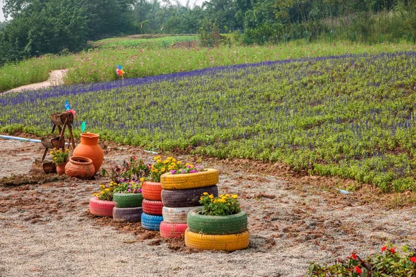 Chongqing Bananhua-Blumen im Weltgarten voller Blumen in voller Blüte — Stockfoto