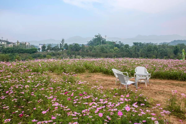 Chongqing Bananhua-Blumen im Weltgarten voller Blumen in voller Blüte — Stockfoto