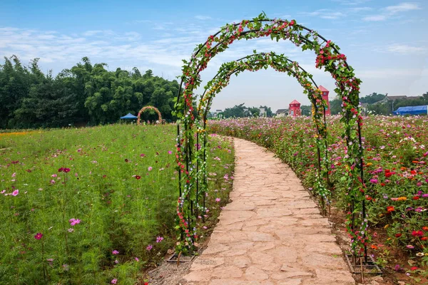 Цветы бананьхуа Чунцин в саду мира в арках свадебных цветов — стоковое фото