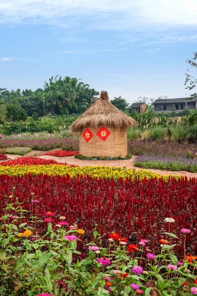 Chongqing Bananhua blommor i världen trädgård full av blommor i full blom — Stockfoto