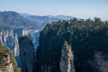 Hunan Zhangjiajie National Forest Park Huangshiizhai Qunfeng