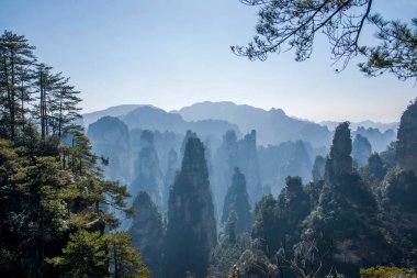 Hunan Zhangjiajie National Forest Park Huangshiizhai Qunfeng