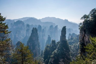 Hunan Zhangjiajie National Forest Park Huangshiizhai Qunfeng