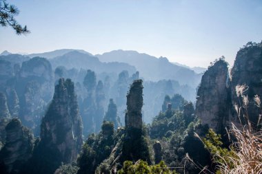 Hunan Zhangjiajie National Forest Park Huangshiizhai Qunfeng
