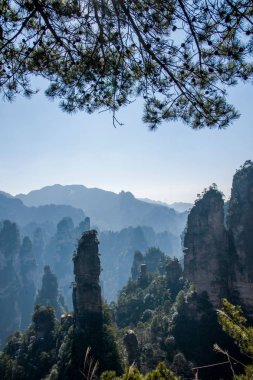 Hunan Zhangjiajie National Forest Park Huangshiizhai Qunfeng