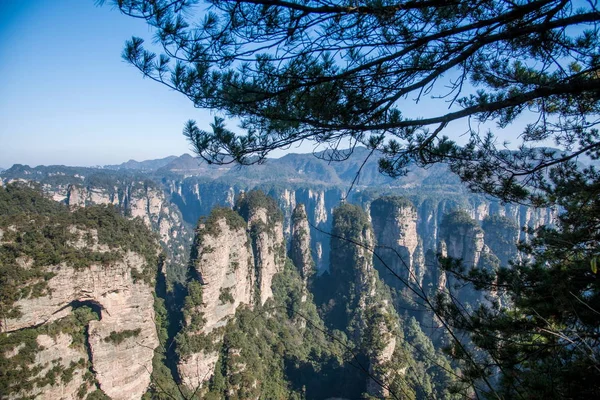 Hunan Zhangjiajie National Forest Park Huangshiizhai Qunfeng — Stock Photo, Image