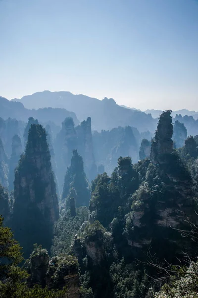 Parque Florestal Nacional Hunan Zhangjiajie Huangshiizhai Qunfeng — Fotografia de Stock