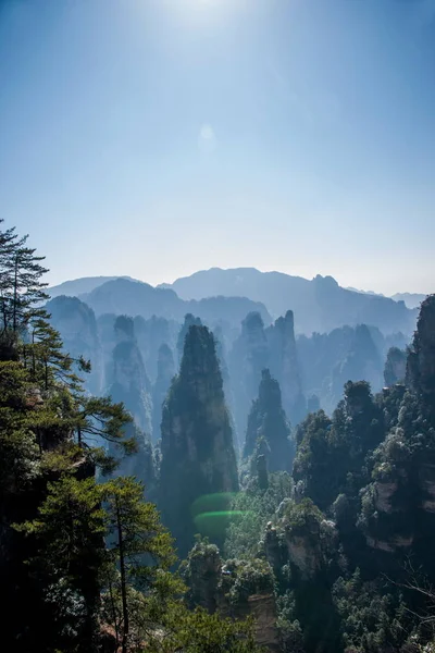 Parque Forestal Nacional Hunan Zhangjiajie Huangshiizhai Qunfeng —  Fotos de Stock