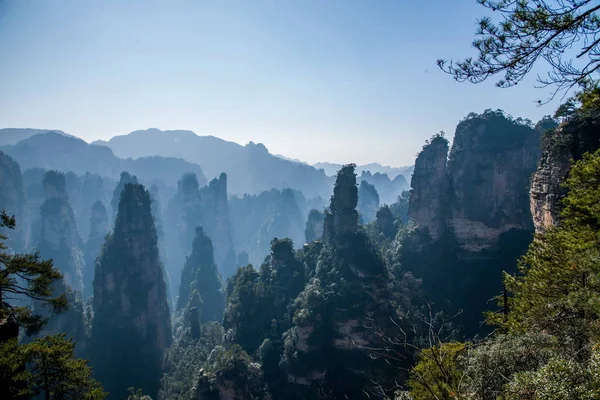 Hunan Zhangjiajie National Forest Park Huangshiizhai Qunfeng — Zdjęcie stockowe