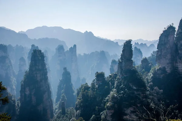 Parque Forestal Nacional Hunan Zhangjiajie Huangshiizhai Qunfeng —  Fotos de Stock