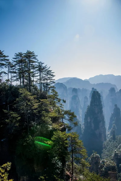 Parque Florestal Nacional Hunan Zhangjiajie Huangshiizhai Qunfeng — Fotografia de Stock