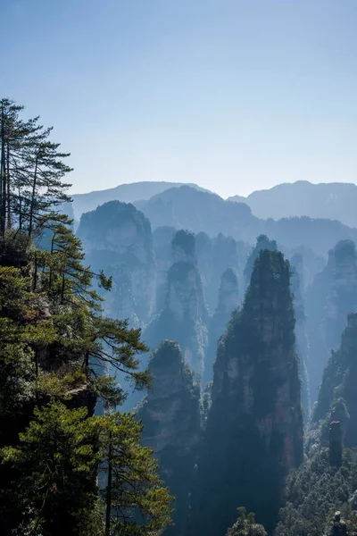 Parque Forestal Nacional Hunan Zhangjiajie Huangshiizhai Qunfeng —  Fotos de Stock