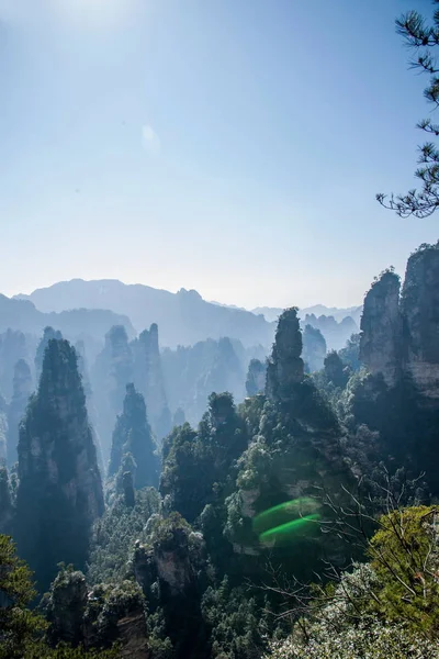 Hunan Zhangjiajie National Forest Park Huangshiizhai Qunfeng — Stock Photo, Image