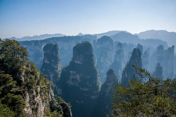 Hunan Zhangjiajie National Forest Park Huangshiizhai Qunfeng — Stockfoto