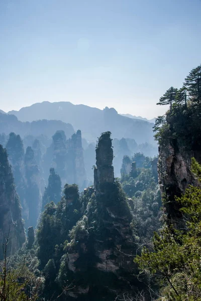 Hunan Zhangjiajie National Forest Park Huangshiizhai Qunfeng — Foto Stock