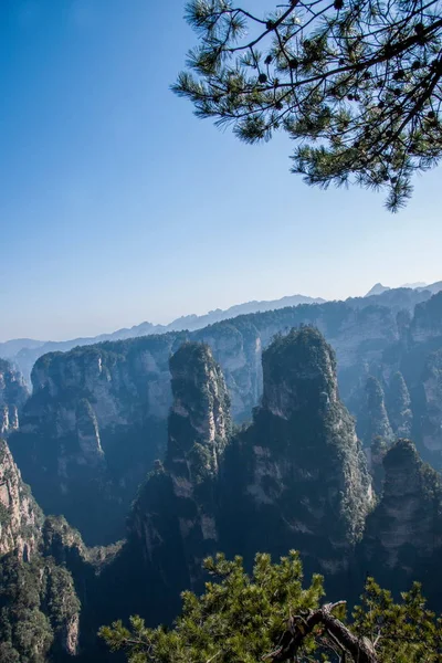 Hunan Zhangjiajie National Forest Park Huangshiizhai Qunfeng — Stok fotoğraf