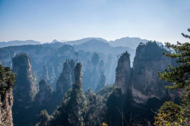 Hunan Zhangjiajie National Forest Park Huangshiizhai Qunfeng
