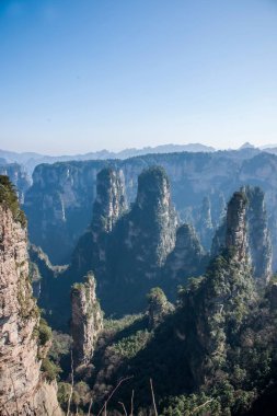 Hunan Zhangjiajie National Forest Park Huangshiizhai Qunfeng