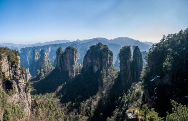 Hunan Zhangjiajie National Forest Park Huangshiizhai Qunfeng