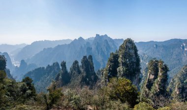 Hunan Zhangjiajie National Forest Park Huangshiizhai Qunfeng