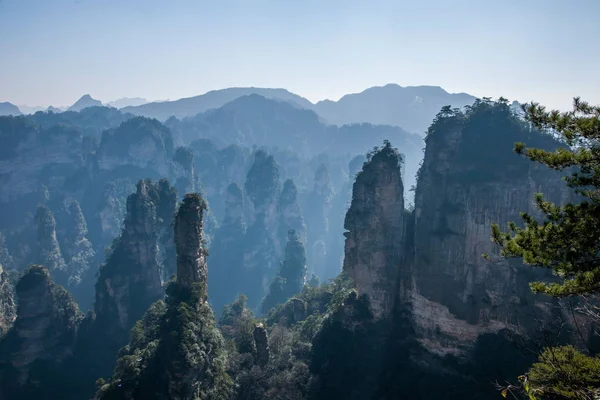 Hunan Zhangjiajie National Forest Park Huangshiizhai Qunfeng — Stockfoto