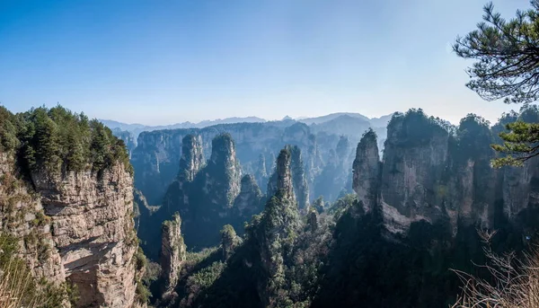 Хунань Zhangjiajie національного лісового парку Huangshiizhai Qunfeng — стокове фото