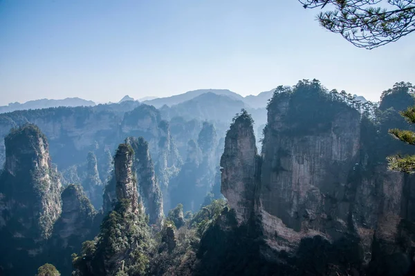 Hunan Zhangjiajie National Forest Park Huangshiizhai Qunfeng — Stockfoto
