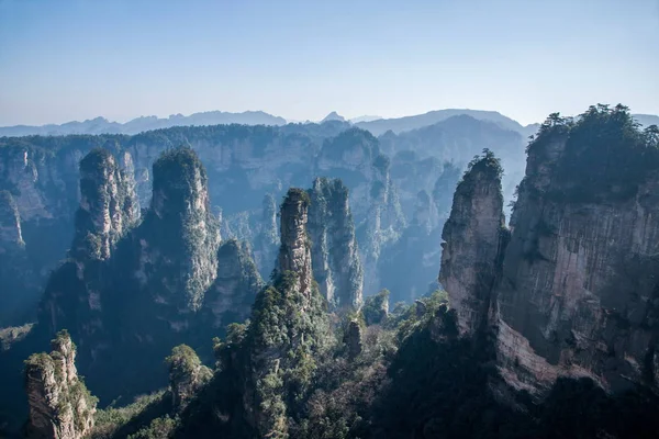 Hunan Zhangjiajie National Forest Park Huangshiizhai Qunfeng — Stockfoto