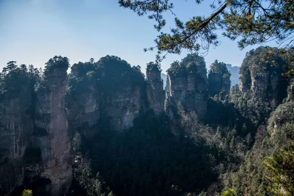 Hunan Zhangjiajie National Forest Park Huangshiizhai Qunfeng — Stok fotoğraf