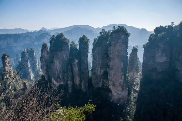 Hunan Zhangjiajie National Forest Park Huangshiizhai Qunfeng — Zdjęcie stockowe