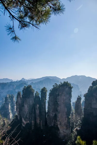 Hunan Zhangjiajie National Forest Park Huangshiizhai Qunfeng — Stok fotoğraf