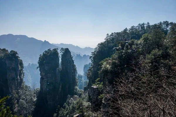 Hunan Zhangjiajie National Forest Park Huangshiizhai Qunfeng — Stock Photo, Image