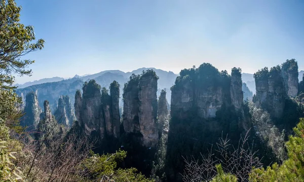 Hunan Zhangjiajie National Forest Park Huangshiizhai Qunfeng — Stok fotoğraf