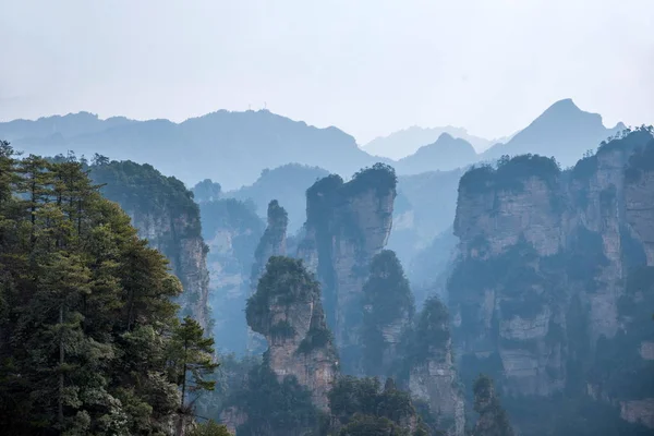 Краєвид Хунань Zhangjiajie ліс Національний парк Yuanjiajie — стокове фото