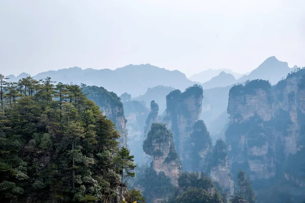 Hunan Zhangjiajie National Forest Park Yuanjiajie manzara — Stok fotoğraf