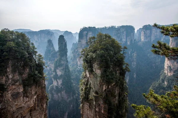 Краєвид Хунань Zhangjiajie ліс Національний парк Yuanjiajie — стокове фото