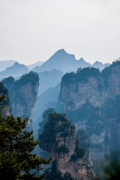Hunan Zhangjiajie Parque Forestal Nacional Yuanjiajie paisaje —  Fotos de Stock