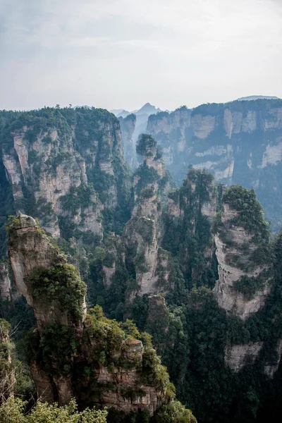 Hunan Zhangjiajie National Forest Park Yuanjiajie manzara — Stok fotoğraf