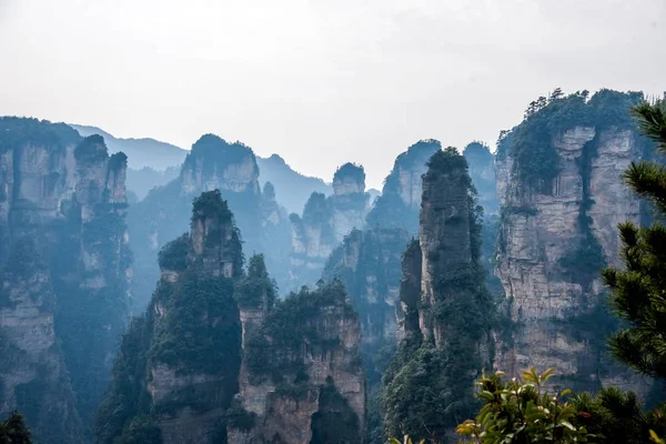 Hunan Zhangjiajie National Forest Park Yuanjiajie krajobraz — Zdjęcie stockowe