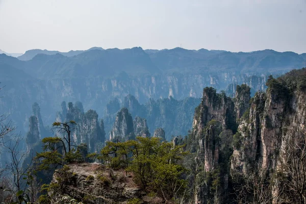 Хунань Zhangjiajie National Forest Park Shentang Bay краєвид — стокове фото