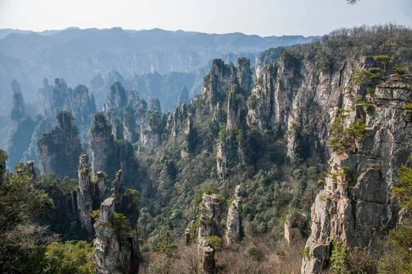 Hunan zhangjiajie Nationalpark Shentang Bucht Landschaft — Stockfoto