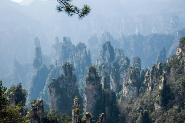 Hunan Zhangjiajie Parque Forestal Nacional Shentang Bay paisaje —  Fotos de Stock