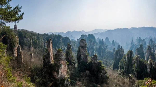 Hunan Zhangjiajie Parque Forestal Nacional Shentang Bay paisaje —  Fotos de Stock