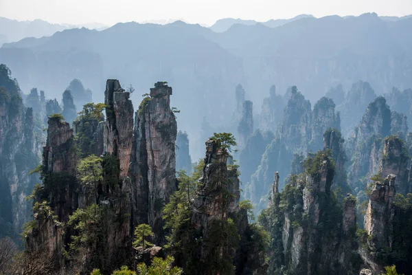 หูหนาน Zhangjiajie อุทยานแห่งชาติภูมิทัศน์อ่าว Shentang — ภาพถ่ายสต็อก