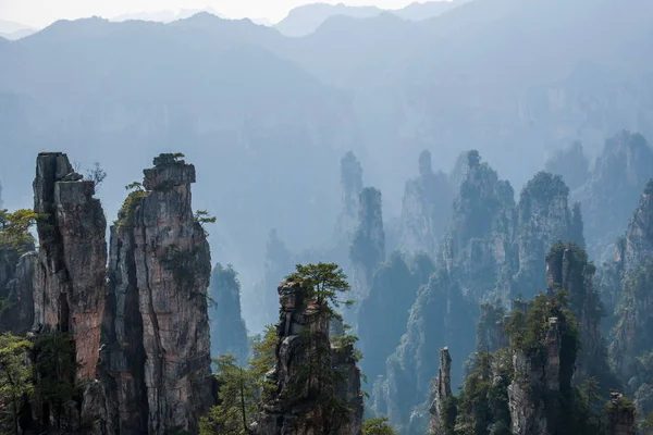 หูหนาน Zhangjiajie อุทยานแห่งชาติภูมิทัศน์อ่าว Shentang — ภาพถ่ายสต็อก