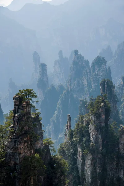 Hunan Zhangjiajie Parque Forestal Nacional Shentang Bay paisaje —  Fotos de Stock